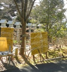 黄色い看板