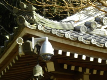 写真1-1